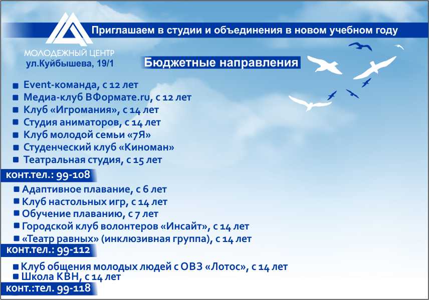 Флаер бюджетные 2020.jpg